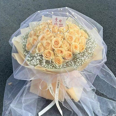 西安52朵香槟玫瑰满天星,你就是我的全部